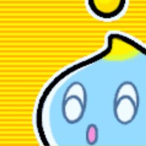 Meet your Posher, Riley